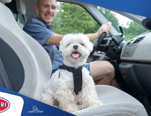 Togliere l’odore di cane in auto con la sanificazione con l’ozono